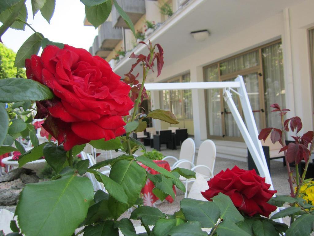 Hotel Garden Bellaria – Igea Marina Kültér fotó